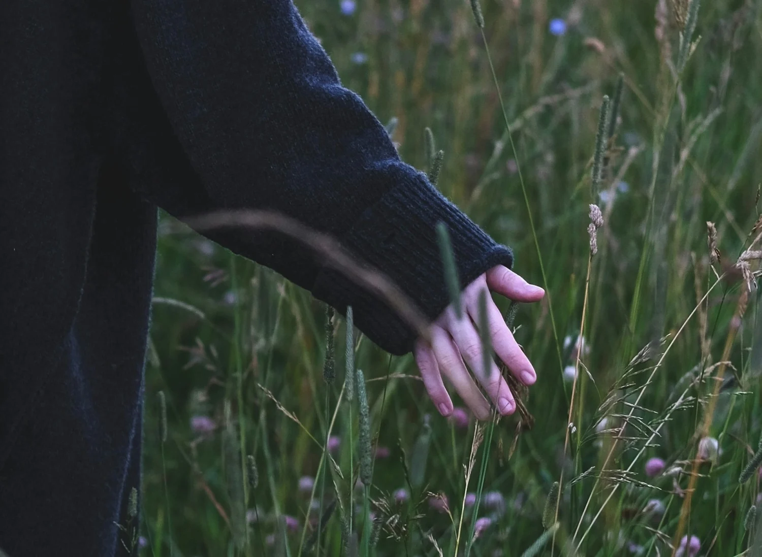 A woman's hand running through long grass
