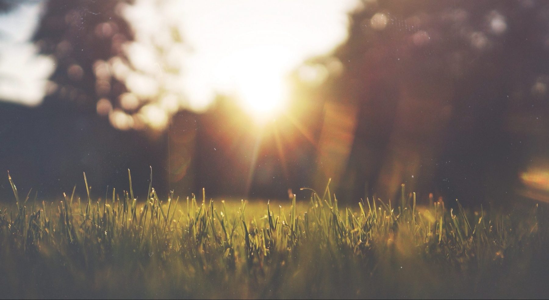 Grief Counselling & Support