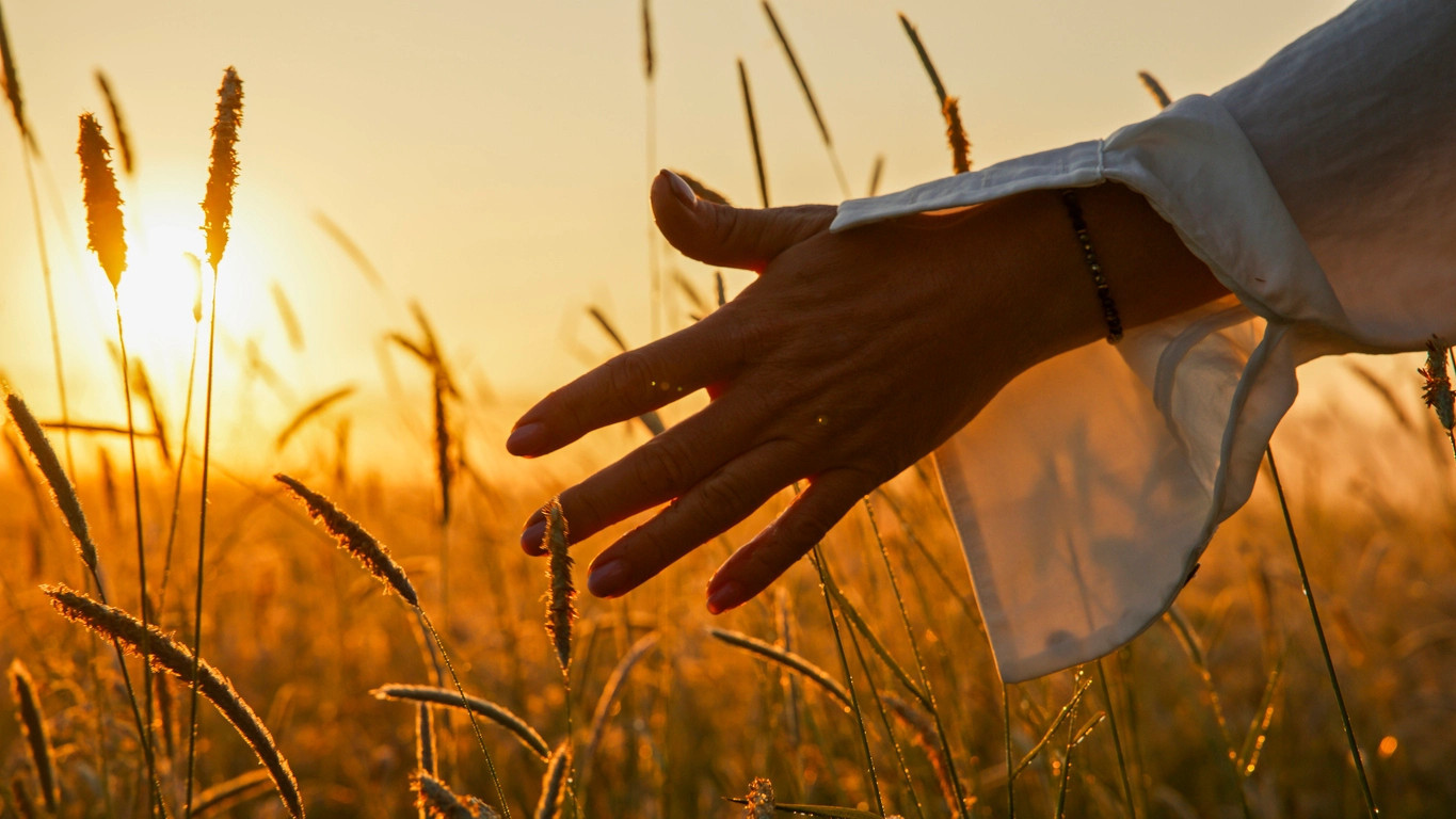 A women's hand brushing through tall grass in the sunset