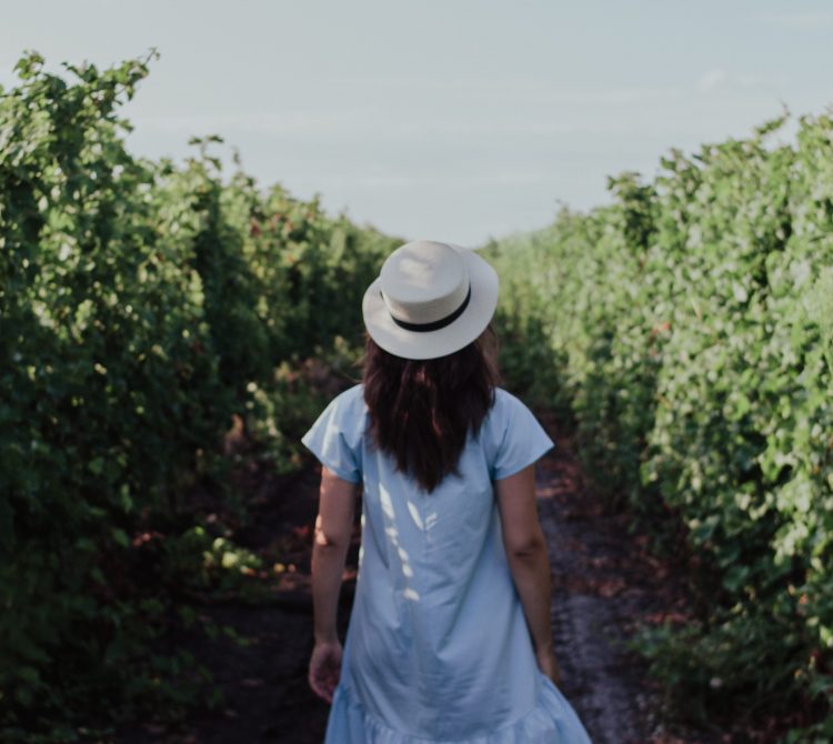 Girl walking alone in a vineyard
