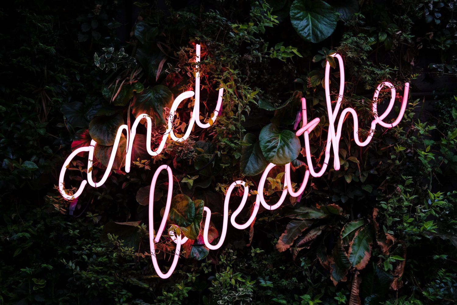 Neon Sign saying and breathe