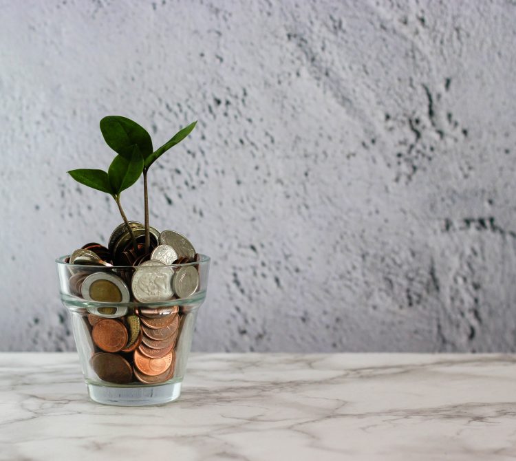 jar with money and small plant growing inside