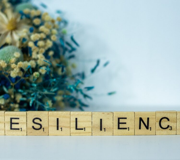 Resilience: Thriving Through Challenges