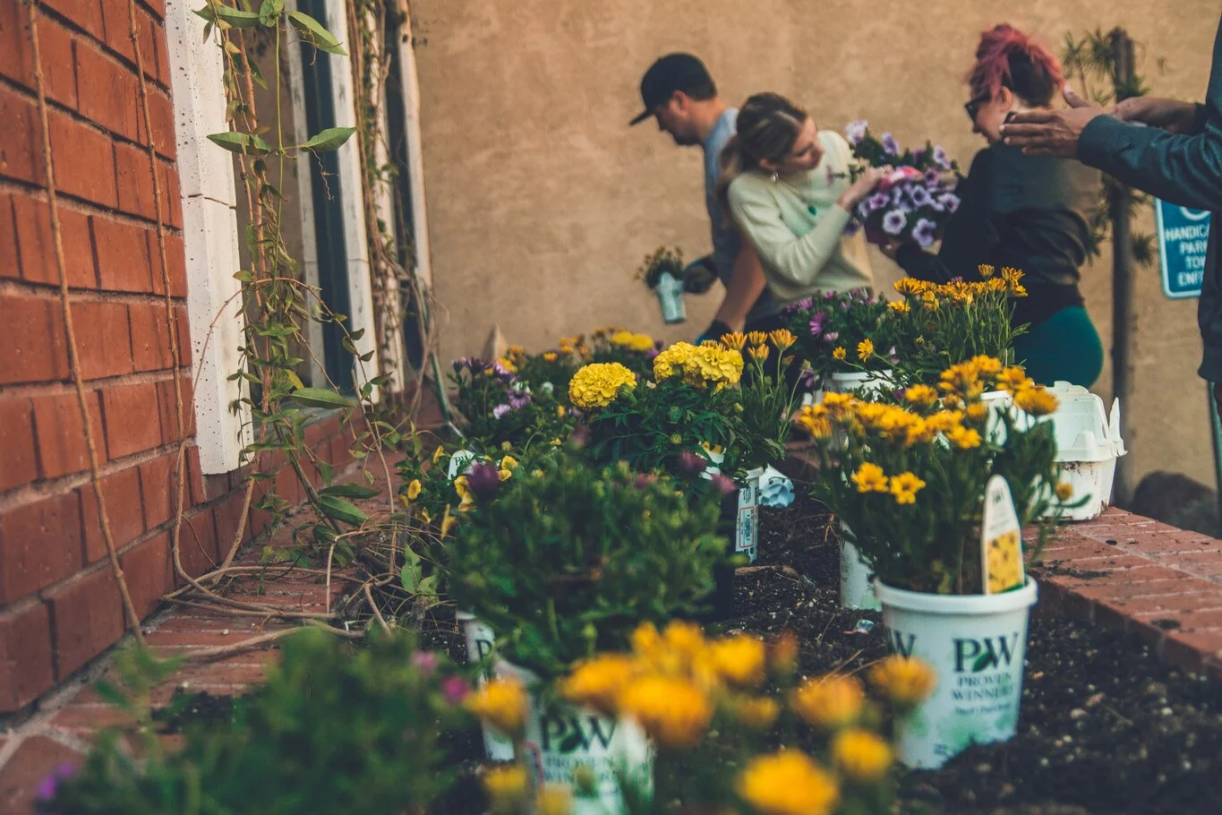 People planting flowers together
