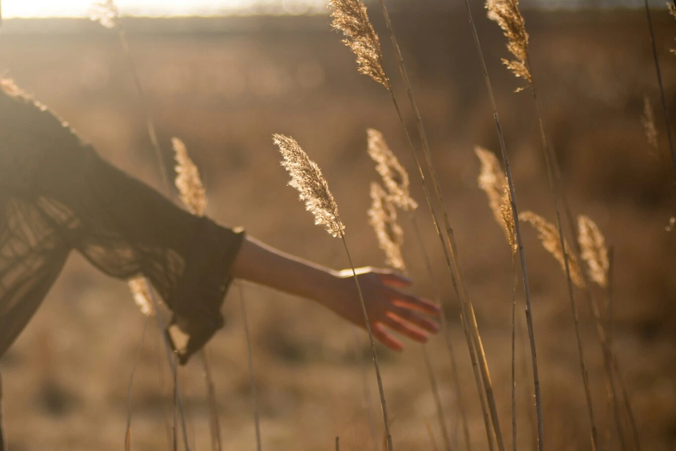 A woman walking through a grassy field at sunset