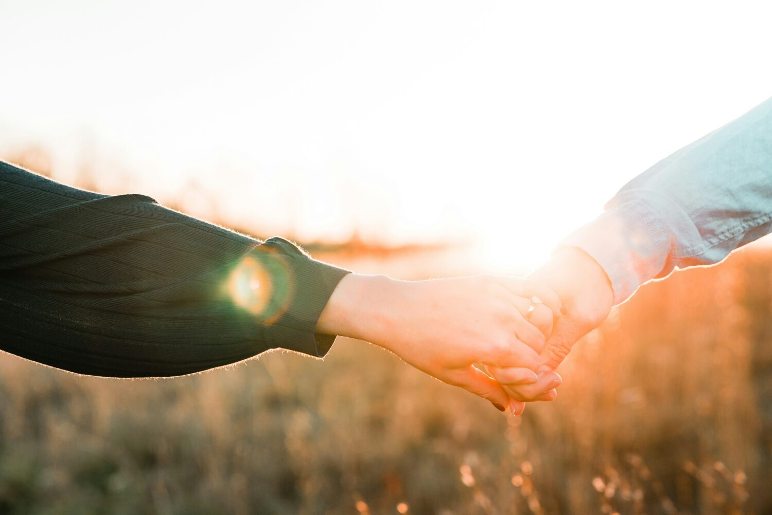 Two held hands in front of a sunny field