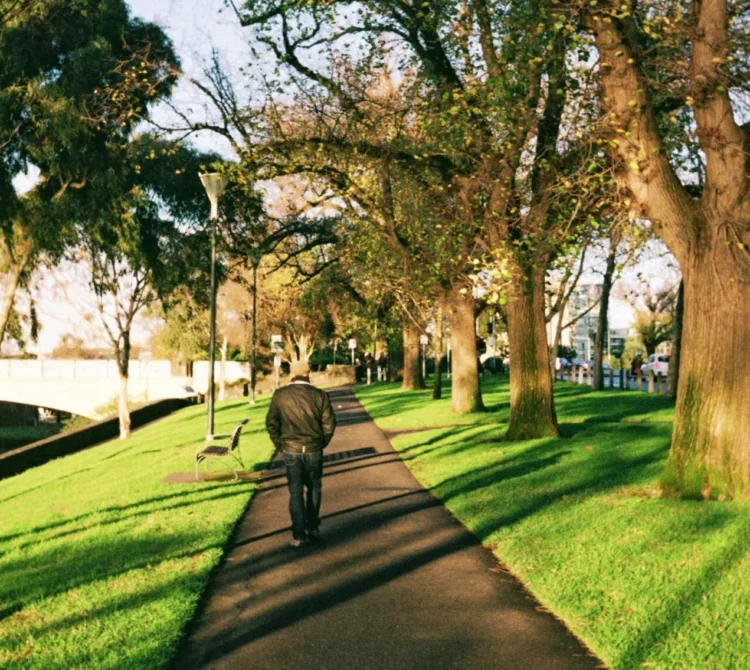 A person walking along a tree-lined park path during the day.