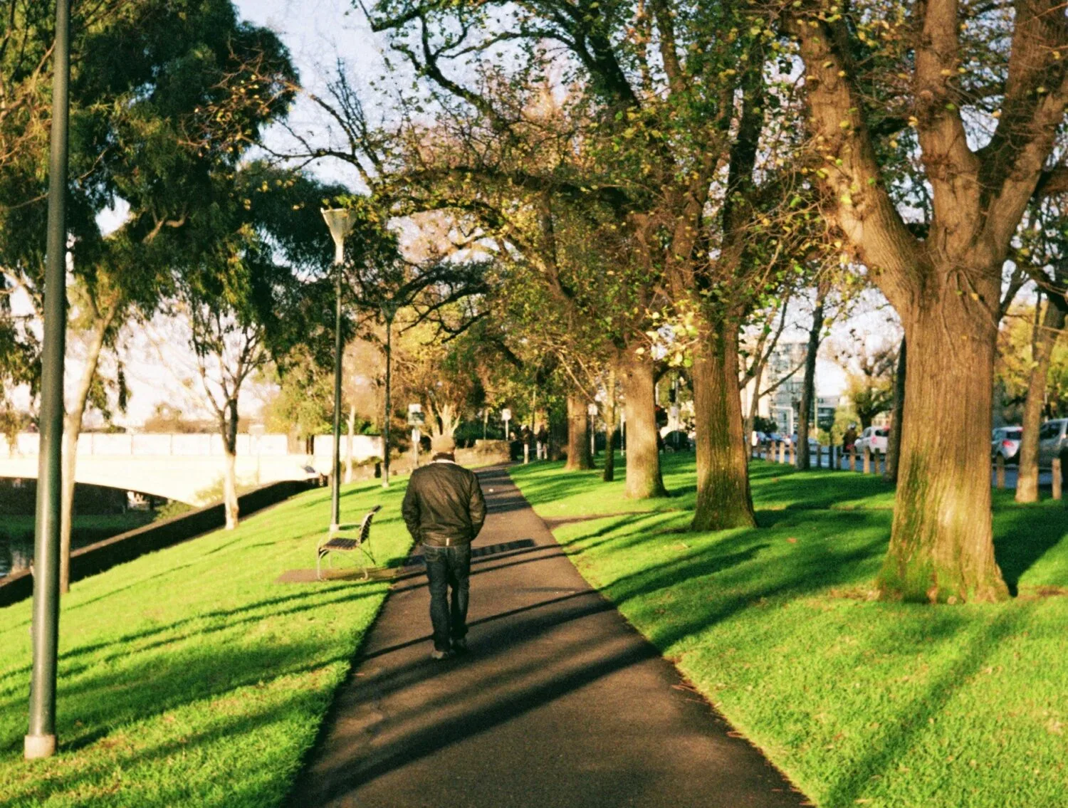 A person walking along a tree-lined park path during the day.