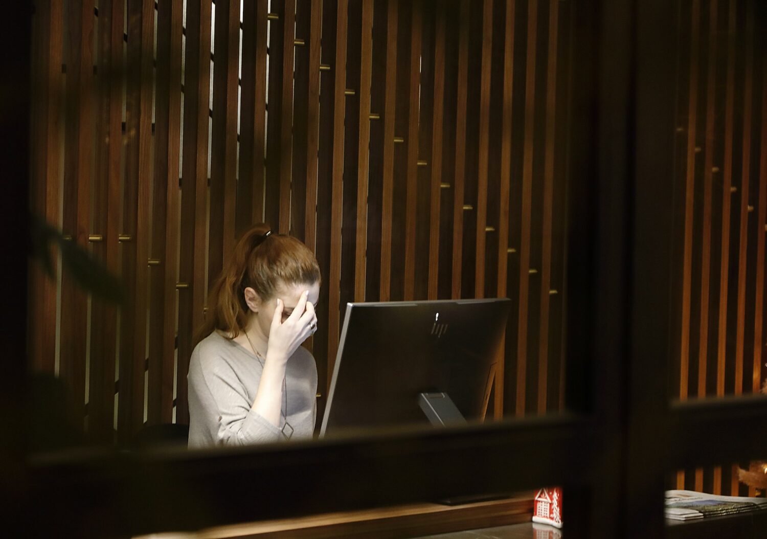A woman sitting in front of a computer looking stressed