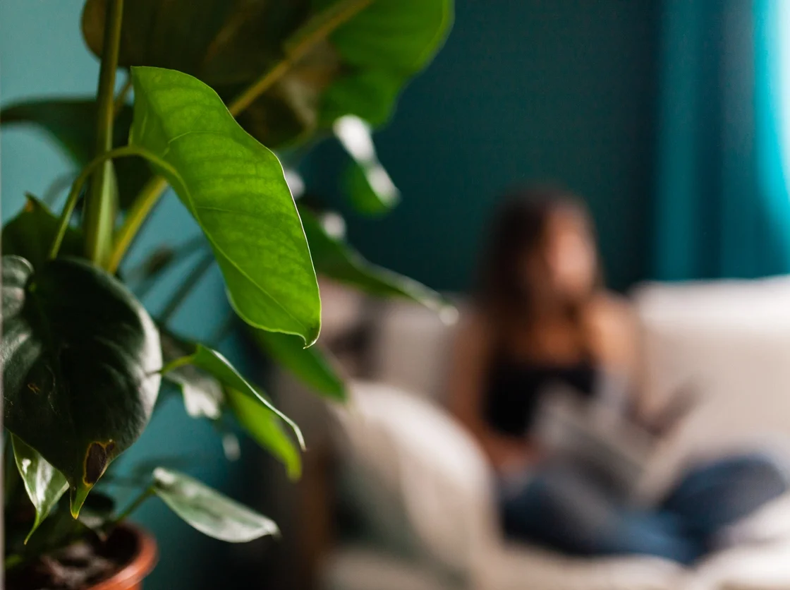 Women sitting on a couch reading whilst looking out the window