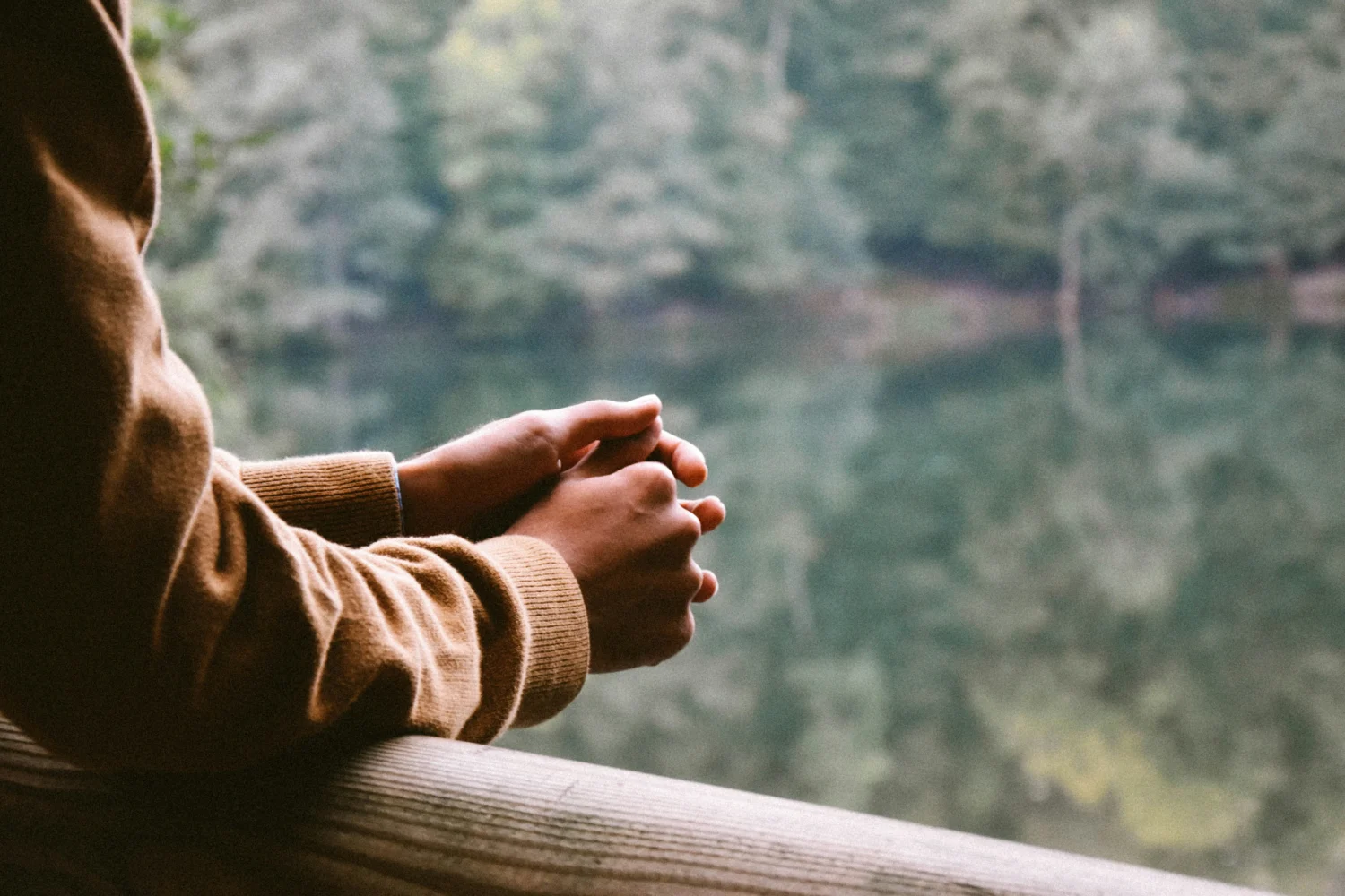 Person leaning on rail looking out to a lake.