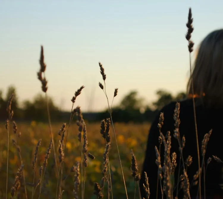 Woman standing in a grassy field at sunset, looking towards the horizon, photographed from behind.